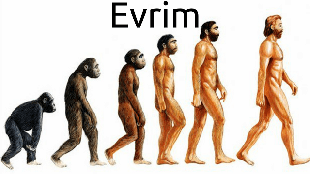 evrim